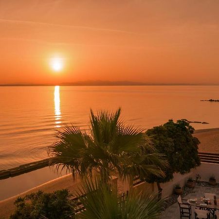 Villa Elizabeth - Seafront Classic Villa! 아르가시 외부 사진